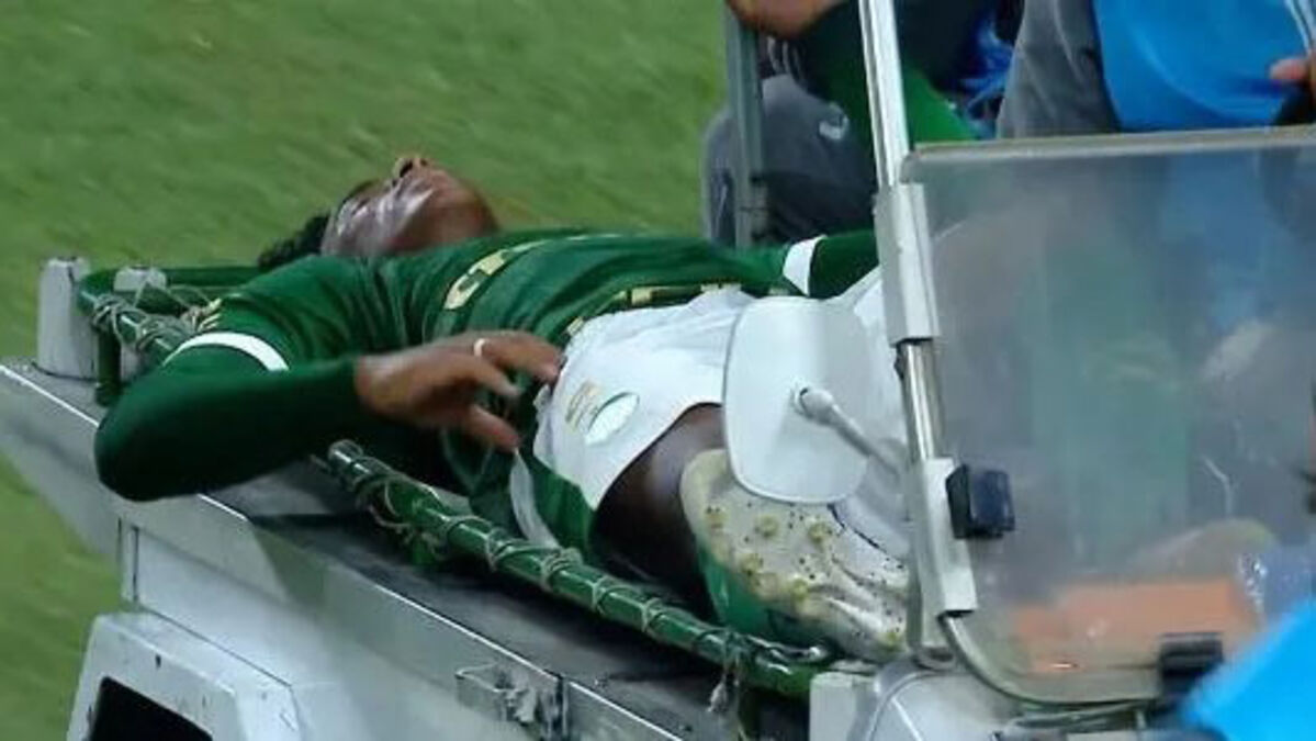 Endrick, Palmeiras (Foto: Reprodução/X)