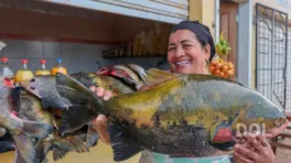 Tambaqui é o peixe mais buscado nas feiras de Marabá