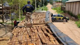 A madeira apreendida não tinha nenhuma documentação legal.