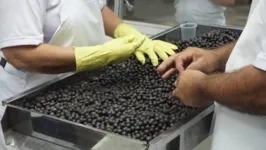 Prática da manipulação do açaí pode garantir qualidade ao alimento