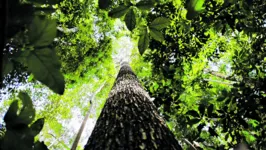 Por meio dos zoneamentos, é possível fazer a releitura do solo, geologia, clima, cobertura vegetal e uso e ocupação da terra