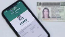 Eleitores sem biometria cadastrada podem acessar os serviços eleitorais pela internet até hoje.