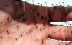 A curva de dengue vem aumentando desde setembro do ano passado, o que não era comum.