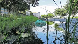 Presença de lixo ajuda na proliferação do Aedes aegyipt