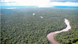 Modelo ajuda a gerar recursos mantendo a floresta em pé e evitando a emissão de gás carbônico, como defende o governador Helder Barbalho