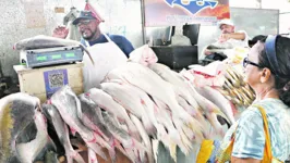 Entre as espécies de peixes mais procuradas estão a pescada branca, pescada amarela, filhote e a dourada