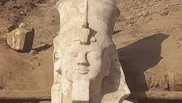 Parte da estátua de Ramsés 2º desenterrada por uma missão arqueológica egípcio-americana em El Ashmunein, ao sul da cidade egípcia de Minya, no Egito
