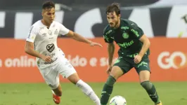 Palmeiras e Santos decidem o título Paulista de 2024, em dois jogos.