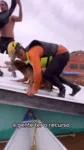 Voluntário se arriscar para salvar cachorro em cima do telhado