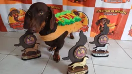 Um dos destaques da programação é o desfile dos cachorros fantasiados, o Cãocurso do Salsicha Hot Dog, e a descida pelas escadas rolantes do Shopping Bosque Grão Pará, que apoia a iniciativa.