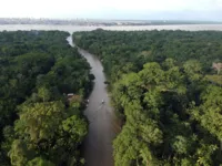 Imagem ilustrativa da notícia Ilha do Combu passará por modernização de rede elétrica