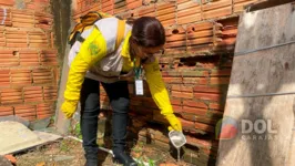 Casos de dengue acenderam um alerta em Marabá, sudeste do estado