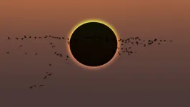 O eclipse solar total poderá ser observado em pontos de México, Estados Unidos e Canadá.