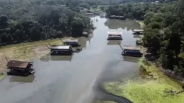 Cerca de 241 mil hectares - uma área equivalente a duas vezes a cidade de Belém, capital do Pará - é o tamanho das ocupações feitas por garimpos