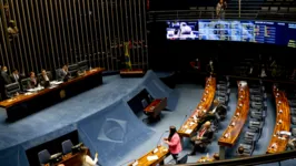 Senado deve votar a matéria em dois turnos