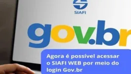 Sistema Integrado de Administração Financeira (Siafi), do Tesouro Nacional,