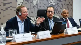 John Textor ao lado dos senadores Jorge Kajuru e Romário, presidente e relator da CPI, respectivamente.