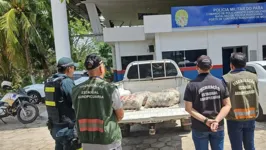 A restrição será para as espécies de peixes in natura, resfriado, fresco, congelado e salgado.