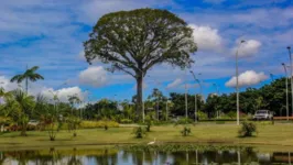 O parque vai celebrar os 31 anos com uma programação especial de 3 a 5 de maio.