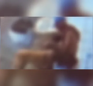 Imagem ilustrativa da imagem Homem é flagrado por câmeras praticando zoofilia no Tenoné