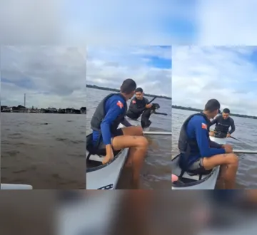 Imagem ilustrativa da imagem Vídeo: cachorro perdido no meio do rio é resgatado em Belém