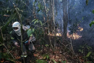 Imagem ilustrativa da notícia Documentário mostra brigadistas que combatem incêndios