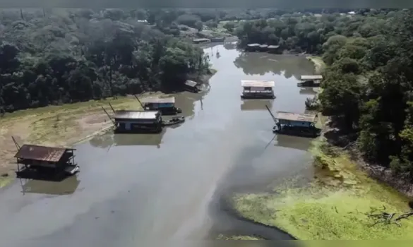 Imagem ilustrativa da imagem Garimpos na Amazônia já abrangem 241 mil hectares