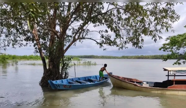 A ilha desaparecida ficava dentro da Reserva Mestre Lucindo, em Marapanim.