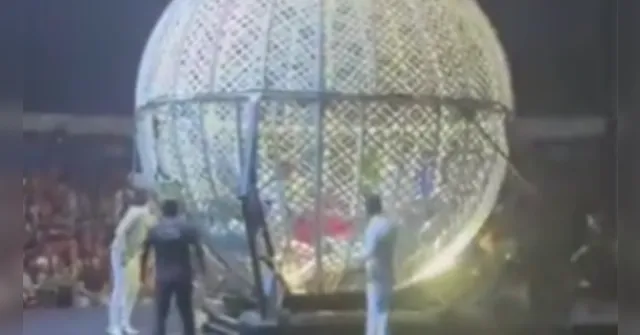 Imagem ilustrativa da notícia Vídeo: acidente em globo da morte deixa feridos em circo