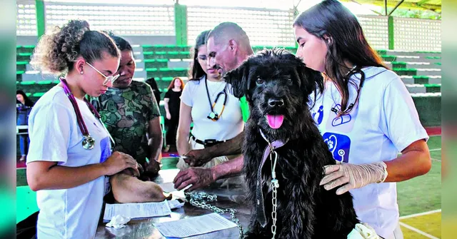 Imagem ilustrativa da notícia Ufra dará orientações clínicas veterinárias gratuitas