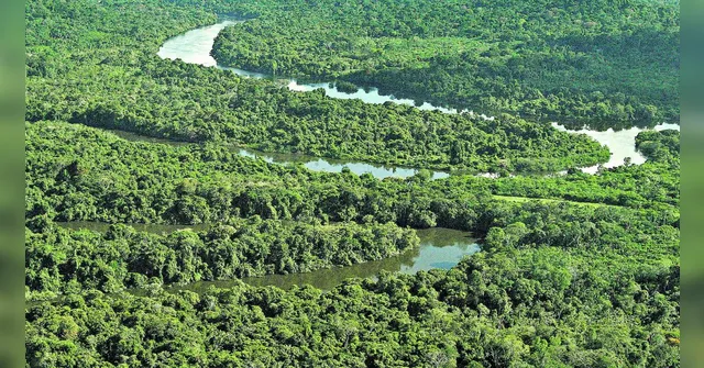 Imagem ilustrativa da notícia Governo Federal inclui mais 33 áreas do Pará no Bolsa Verde