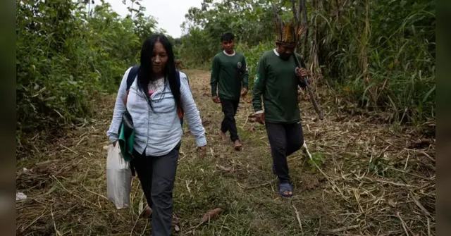 Imagem ilustrativa da notícia Relatório expõe violência contra jornalistas na Amazônia