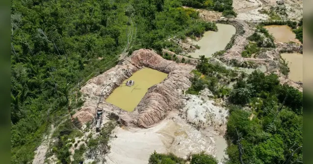 Imagem ilustrativa da notícia Polícia Federal fecha 3 garimpos em terra indígena, no Pará