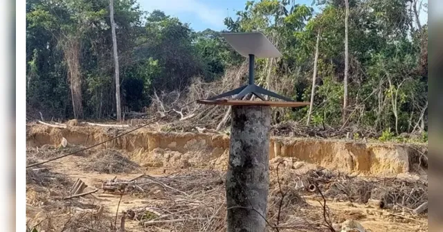 Imagem ilustrativa da notícia Roteadores de Elon Musk são encontrados em garimpos ilegais