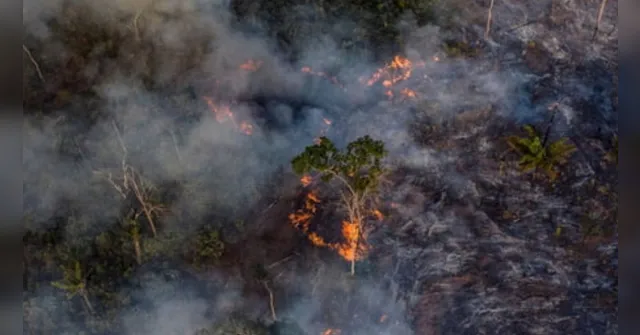 Imagem ilustrativa da notícia Seca faz indígenas temerem falta de alimentos e queimadas