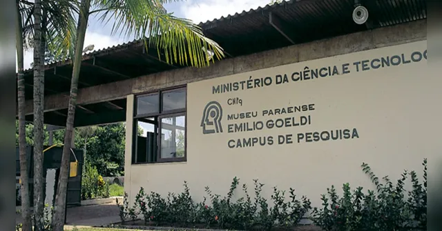 Imagem ilustrativa da notícia Museu Emílio Goeldi abre vagas para estágio em Belém