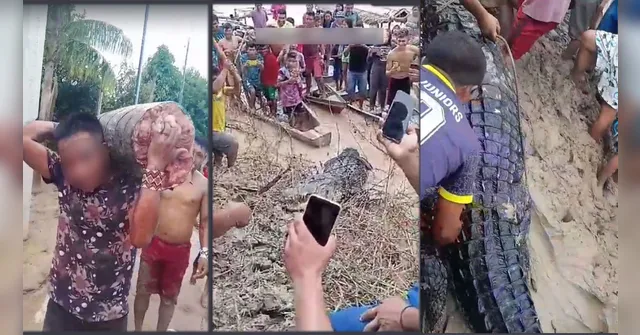 Imagem ilustrativa da notícia Vídeo: ribeirinhos matam jacaré de 4 metros no Acre 