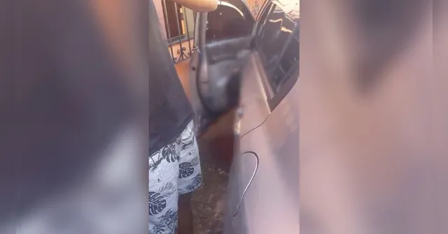 Imagem ilustrativa da notícia Policial Penal é morto a tiros dentro de carro em Belém