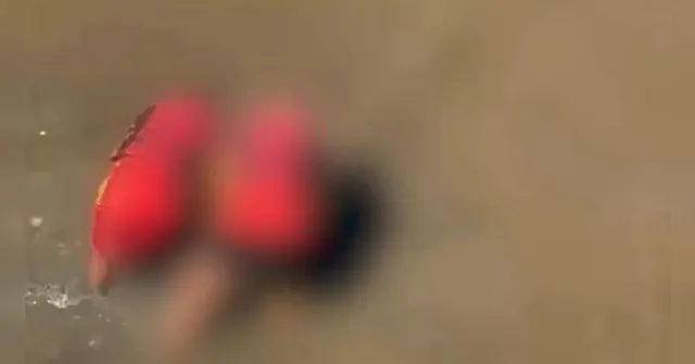 Imagem ilustrativa da notícia Corpo de homem é encontrado às margens do Rio Guamá