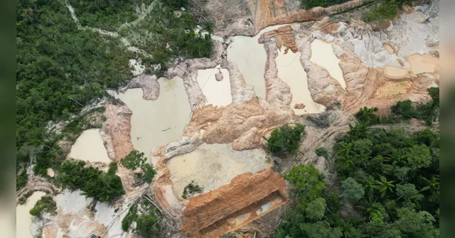Imagem ilustrativa da notícia PF fecha garimpo ilegal em Terra Indígena Kayapó, no Pará