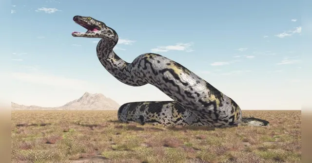 Imagem ilustrativa da notícia Veja a maior cobra que existiu na Terra, maior que um T-Rex