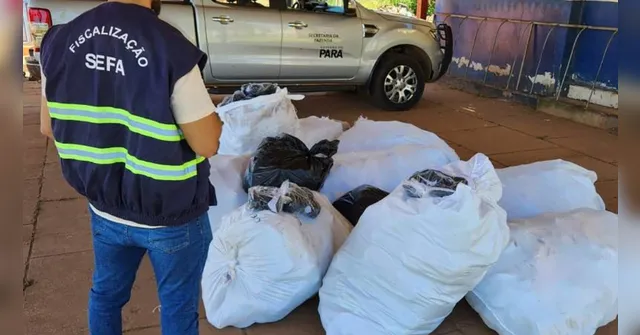 Imagem ilustrativa da notícia Só da moda! Sefa apreende carros e pares de tênis no Pará
