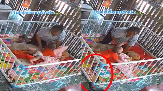 Imagem ilustrativa da notícia Vídeo: avó salva bebê de ataque de cobra na Tailândia