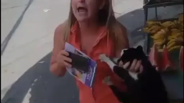 Imagem ilustrativa da notícia Vídeo: mulher agride gata que teria arranhado criança
