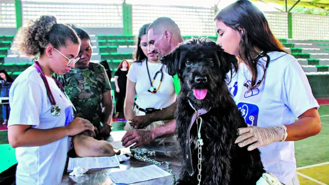 Imagem ilustrativa da notícia Ufra dará orientações clínicas veterinárias gratuitas