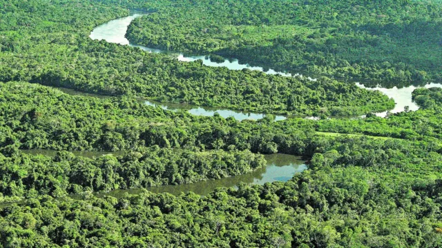 Imagem ilustrativa da notícia Governo Federal inclui mais 33 áreas do Pará no Bolsa Verde