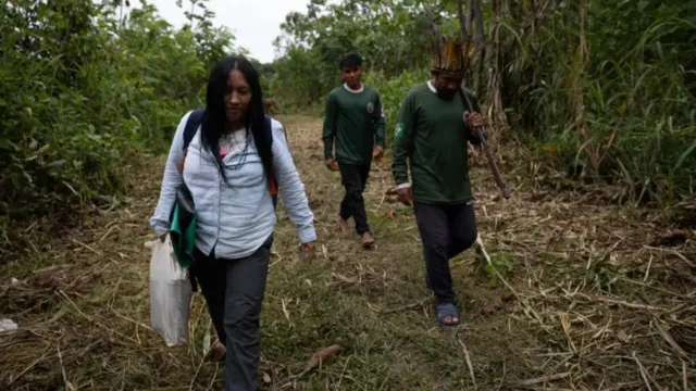 Imagem ilustrativa da notícia Relatório expõe violência contra jornalistas na Amazônia