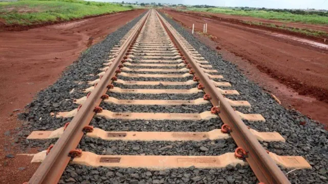 Imagem ilustrativa da notícia Tribunal popular julga construção da Ferrogrão no Pará