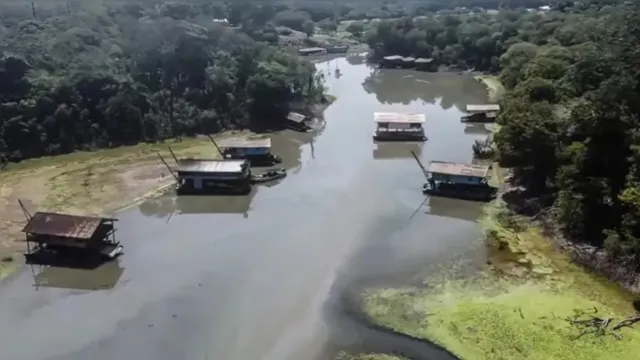 Imagem ilustrativa da notícia Garimpos na Amazônia já abrangem 241 mil hectares