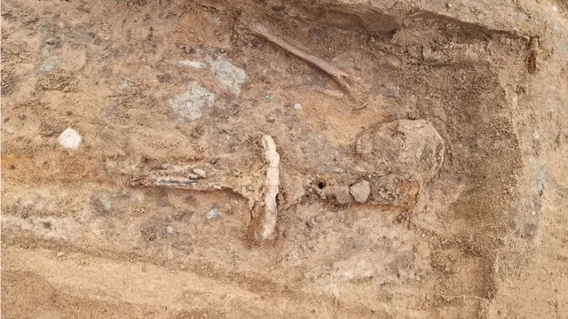 Imagem ilustrativa da notícia Esqueleto de “gigante” de 1,90 m é encontrado na Suécia